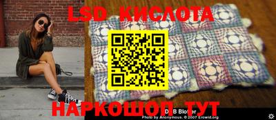 гашик Кинель