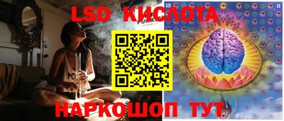 ГАЛЛЮЦИНОГЕННЫЕ ГРИБЫ Кингисепп