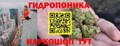 гашик Кинель