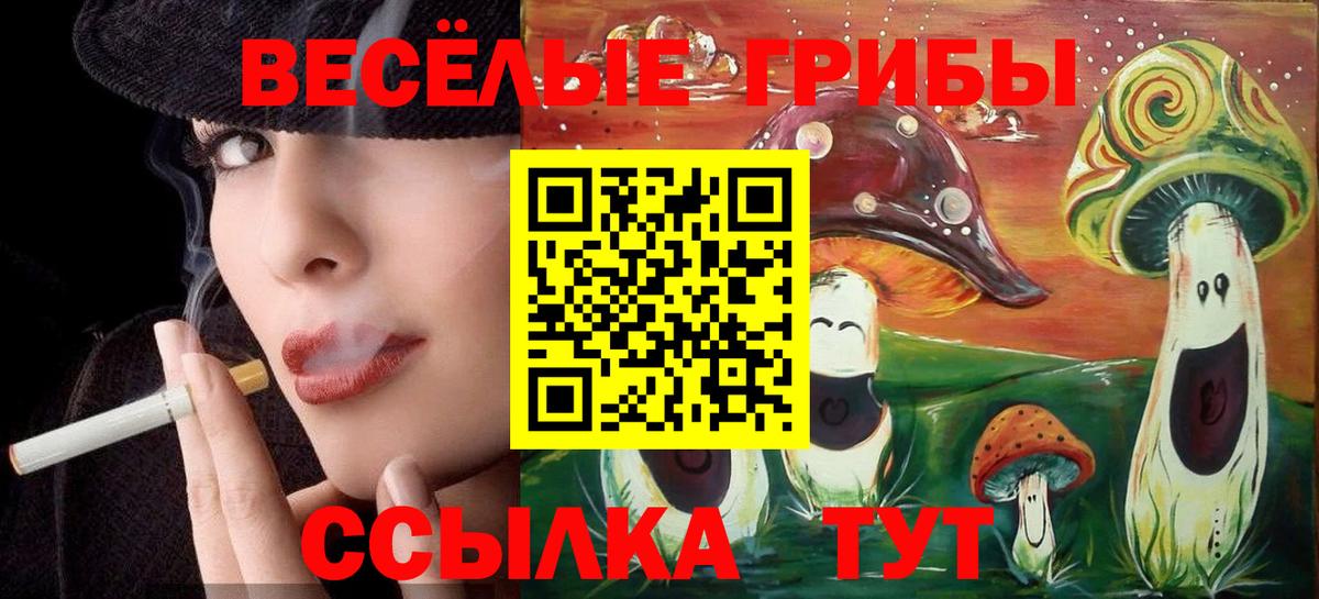Кохма  Псилоцибиновые грибы мухоморы  Галлюциногенные грибы мицелий  Вход с VPN 